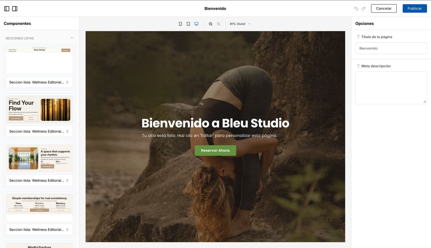 Vista del editor de sitio web